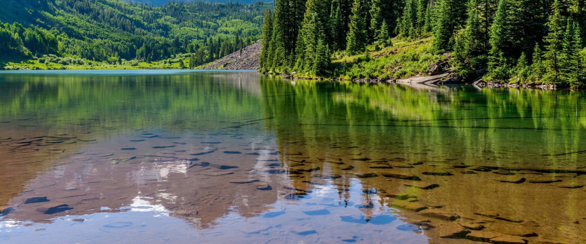 Understanding the Different Types of Domestic Adoption in Colorado Springs