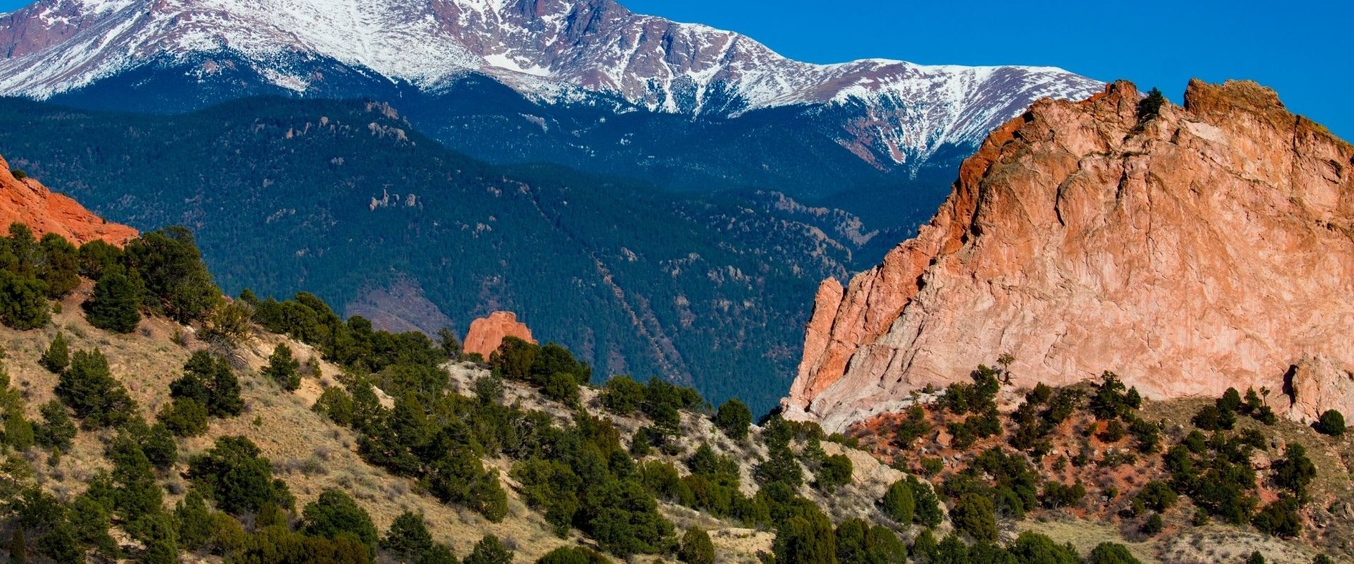 Understanding Family Law in Colorado Springs